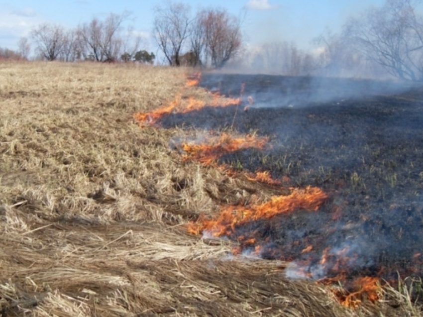 На территории Забайкалья за неделю было зафиксировано 177 возгораний сухой травы